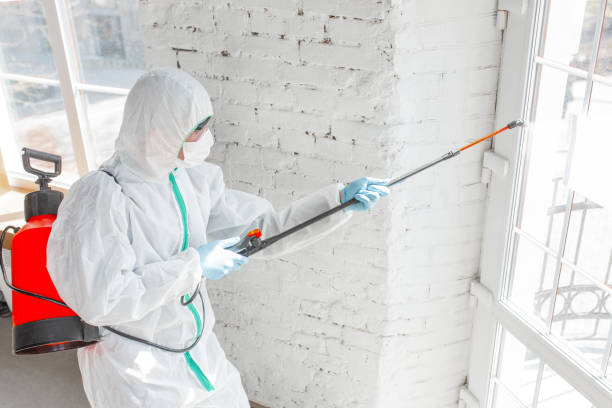 Why You Should Choose Our Mold Remediation Services in Hoopers Creek, NC